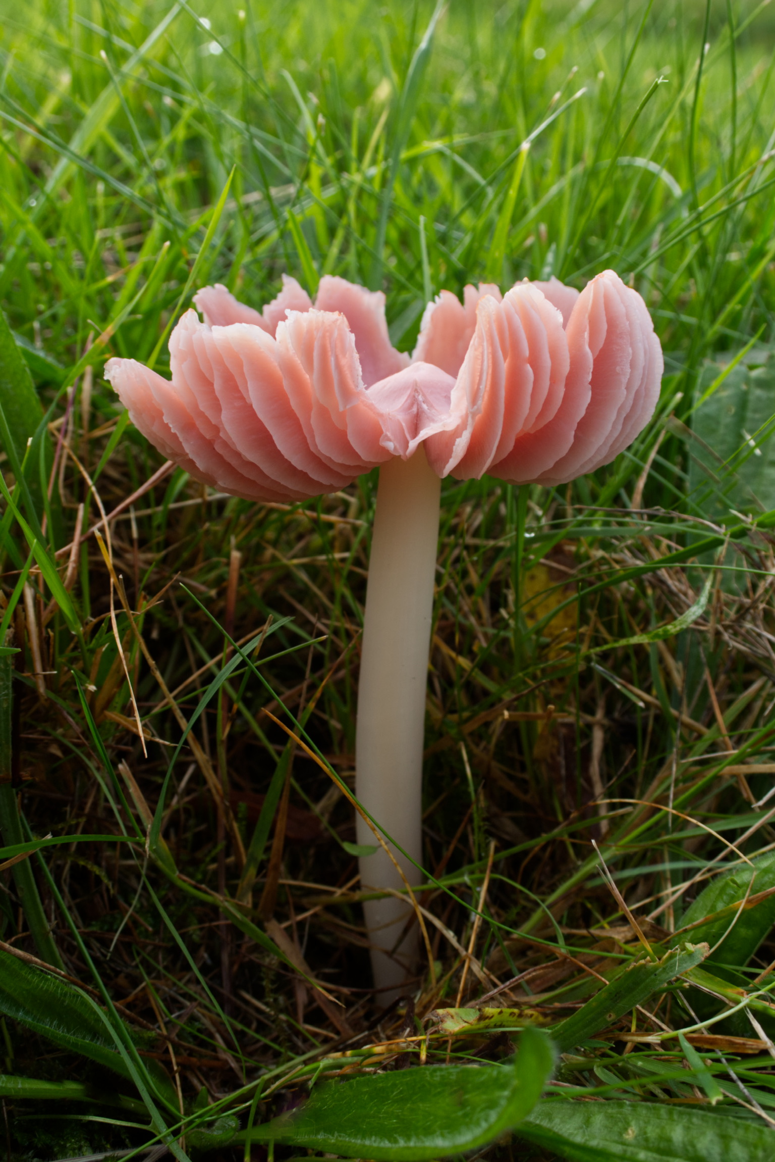 IMG 0001